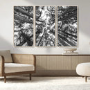 Trees Contemporary Art Canvas Print by MyGreatCanvas | Canvas Wall Art Prints | Photo Prints & Wall Decor