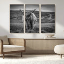 Fluffy Cattle Wall Art Print, Highland Cow Canvas, Framed by MyGreatCanvas | Canvas Wall Art Prints | Photo Prints & Wall Decor