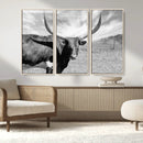 Cattle Wall Art Longhorn Cow Canvas Print by MyGreatCanvas | Canvas Wall Art Prints | Photo Prints & Wall Decor