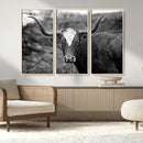 Western Home Wall Art Canvas Print, Framed Texas Longhorn by MyGreatCanvas | Canvas Wall Art Prints | Photo Prints & Wall Decor