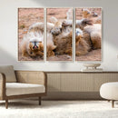 Lion Pair Wall Art Canvas Print – Framed Wildlife Scene with
