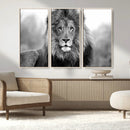 Black and White Lion Canvas Wall Art – Animal Print Artwork