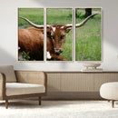 Longhorn Cow Animal Wall Art Canvas Print by MyGreatCanvas | Canvas Wall Art Prints | Photo Prints & Wall Decor