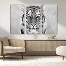 Tiger Canvas Artwork Wall Art Print