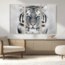 Black and White Tiger Wall Art Animal Canvas Print