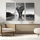 Black and White Elephant Wall Art Canvas Print