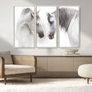 White Horse Wall Art Animal Canvas Print by MyGreatCanvas | Canvas Wall Art Prints | Photo Prints & Wall Decor