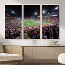 Washington-Grizzly Stadium Canvas Print, American Football