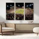 Washington-Grizzly Stadium Canvas Print, American Football