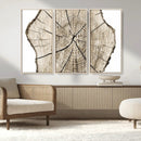 Abstract Wood Tree Ring Wall Art - Ready to Hang Minimalist
