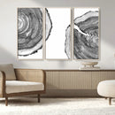 Abstract Large Tree Rings – Minimalist Black and White Wood