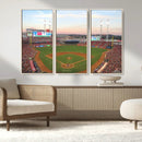 Cincinnati Reds Baseball Print Canvas- Cincinnati