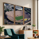 Michigan Wolverines Football Team Print - Ann Arbor Michigan