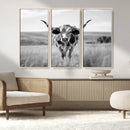 Texas Cow Longhorn Wall Art Canvas Print for Farm House Wall