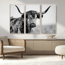Texas Cow Longhorn Wall Art Canvas Print in Black and White