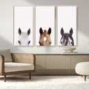Horse Prints Set, Set of 3 Horse Wall Art, Horses Portraits, by MyGreatCanvas | Canvas Wall Art Prints | Photo Prints & Wall Decor