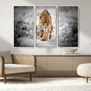 Jaguar Wall Art Canvas Print - Majestic Big Cat in Focused by MyGreatCanvas | Canvas Wall Art Prints | Photo Prints & Wall Decor