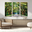 Serene Tree Tunnel Wall Art Canvas Print – Pathway Under by MyGreatCanvas | Canvas Wall Art Prints | Photo Prints & Wall Decor