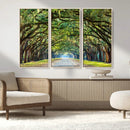 Wormsloe State Plantation Driveway Wall Art Canvas Print by MyGreatCanvas | Canvas Wall Art Prints | Photo Prints & Wall Decor