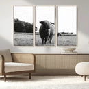 Black and White Highland Cow Wall Art Canvas Print | Rustic