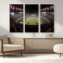 Eagles Field Stadium Wall Art - Philadelphia Eagles Football