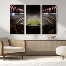 Eagles Field Stadium Wall Art - Philadelphia Eagles Football
