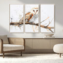 Barn Owl Wall Art on Branch | Stunning Canvas Print for