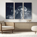 Jellyfish Wall Art Canvas Print, Modern Abstract Jellyfish
