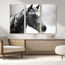 Horse Canvas Print - Winter Horse Snow Wall Art Canvas Print by MyGreatCanvas | Canvas Wall Art Prints | Photo Prints & Wall Decor