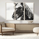 Framed Black and White Horse Wall Art | Ready to Hang and by MyGreatCanvas | Canvas Wall Art Prints | Photo Prints & Wall Decor