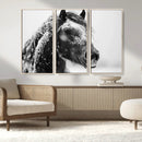 Winter Horse Canvas Print | Large 3-Panel Black White Equine