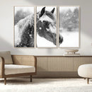 Black Horse Winter Wall Art | Ready to Hang and Framed |