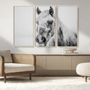 White Horse Wall Art | Ready to Hang and Framed | Winter