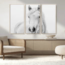 Majestic White Horse Wall Art | Ready to Hang and Framed |