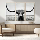 Longhorn Bull Canvas Print | Rustic Farmhouse Wall Art | by MyGreatCanvas | Canvas Wall Art Prints | Photo Prints & Wall Decor