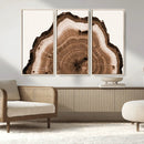 Rustic Wood Rings Wall Art | Nature-Inspired Tree Ring