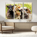 Curious Cows Farmhouse Wall Art | Ready to Hang and Framed