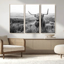 Scottish Highland Cow Wall Art | Black and White Canvas