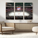 Honda Center California Anaheim Ducks Ice Hockey Stadium