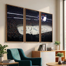 Honda Center California Anaheim Ducks Hockey Stadium Wall