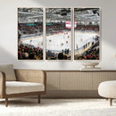 Lausanne Arena Ice Hockey Stadium Wall Art Canvas Print,