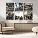 Xcel Energy Center St Paul Minnesota Wild Ice Hockey Stadium