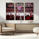Carolina Hurricanes Ice Hockey Stadium Wall Art, Carolina