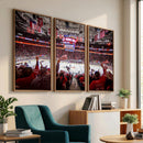 Carolina Hurricanes Ice Hockey Stadium Wall Art, Carolina