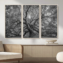 Majestic Angel Oak Tree Black and White Canvas Print – Multi by MyGreatCanvas | Canvas Wall Art Prints | Photo Prints & Wall Decor