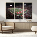Houston Cougars Football Team Print - Houston TDECU Stadium