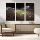 Wisconsin Badgers Football Team Print - Madison Camp Randall