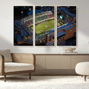 University of North Texas Mean Green Football Artwork,