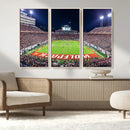 Wolfpack Football Team Print - Raleigh Carter-Finley Stadium