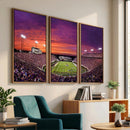 East Carolina University Pirates Football Print Canvas-